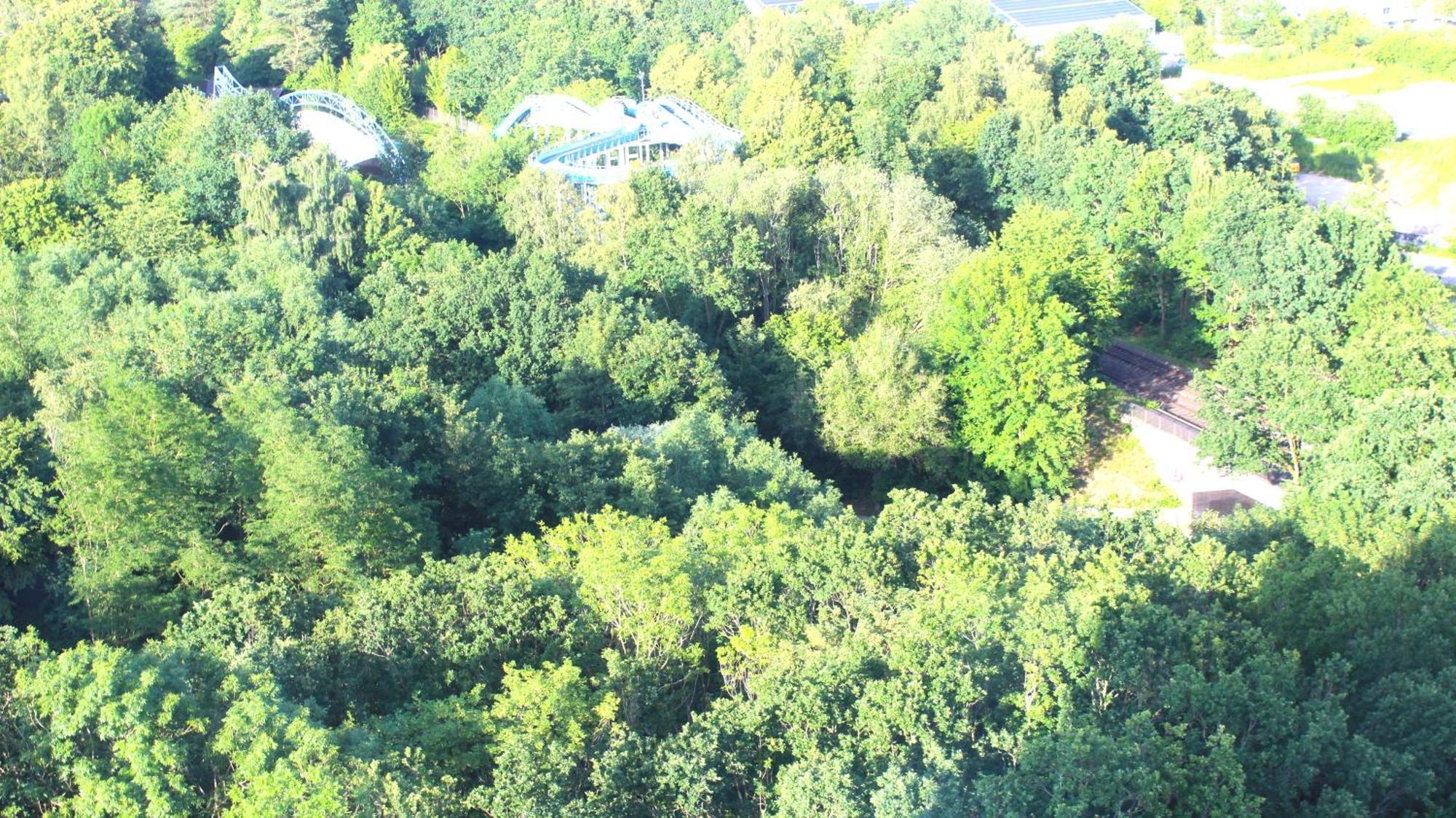 Zum Wohlfuehlen Ferienwohnung Fuer Max 5 Erwachsene Und 1 Kind, Schwimmbad Vor Der Tuer, Tiere Erlaubt Sierksdorf Buitenkant foto